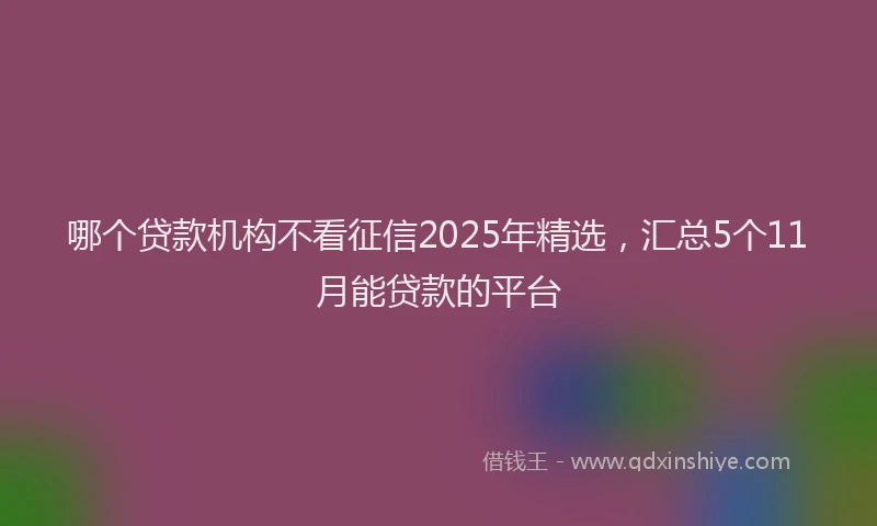 哪个贷款机构不看征信2025年精选，汇总5个11月能贷款的平台