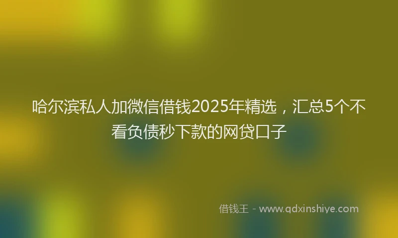 哈尔滨私人加微信借钱2025年精选，汇总5个不看负债秒下款的网贷口子