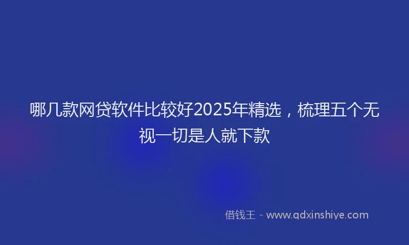 哪几款网贷软件比较好2025年精选，梳理五个无视一切是人就下款