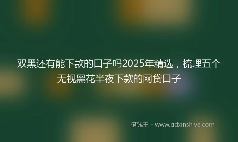双黑还有能下款的口子吗2025年精选，梳理五个无视黑花半夜下款的网贷口子