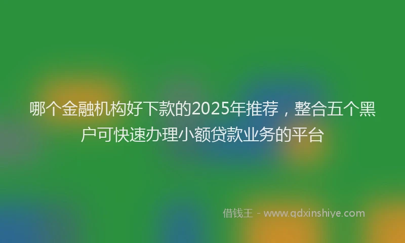 哪个金融机构好下款的2025年推荐，整合五个黑户可快速办理小额贷款业务的平台