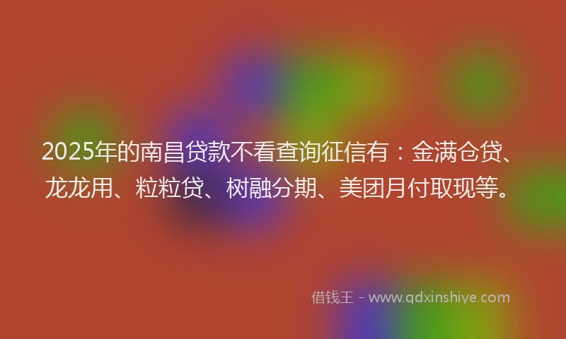 2025年的南昌贷款不看查询征信有：金满仓贷、龙龙用、粒粒贷、树融分期、美团月付取现等。