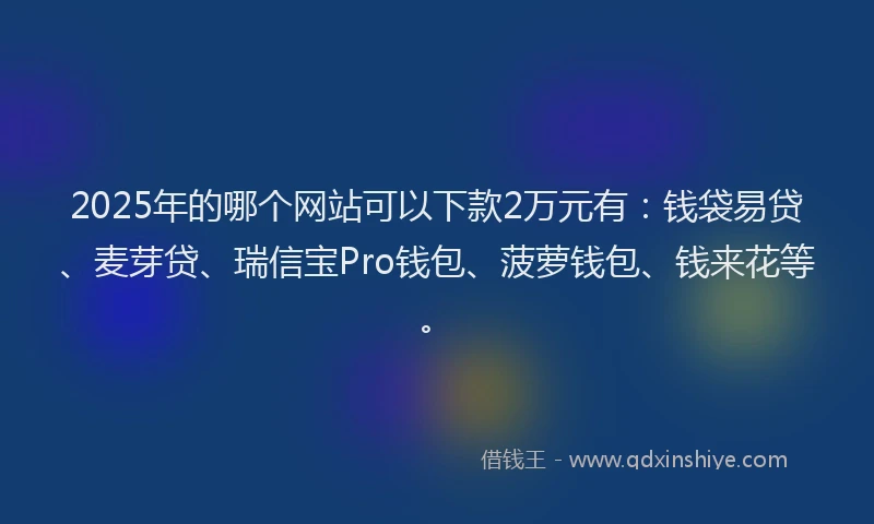 2025年的哪个网站可以下款2万元有：钱袋易贷、麦芽贷、瑞信宝Pro钱包、菠萝钱包、钱来花等。