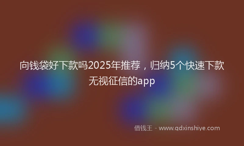 向钱袋好下款吗2025年推荐，归纳5个快速下款无视征信的app