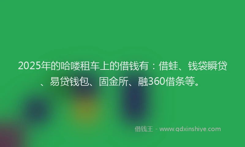 2025年的哈喽租车上的借钱有：借蛙、钱袋瞬贷、易贷钱包、固金所、融360借条等。