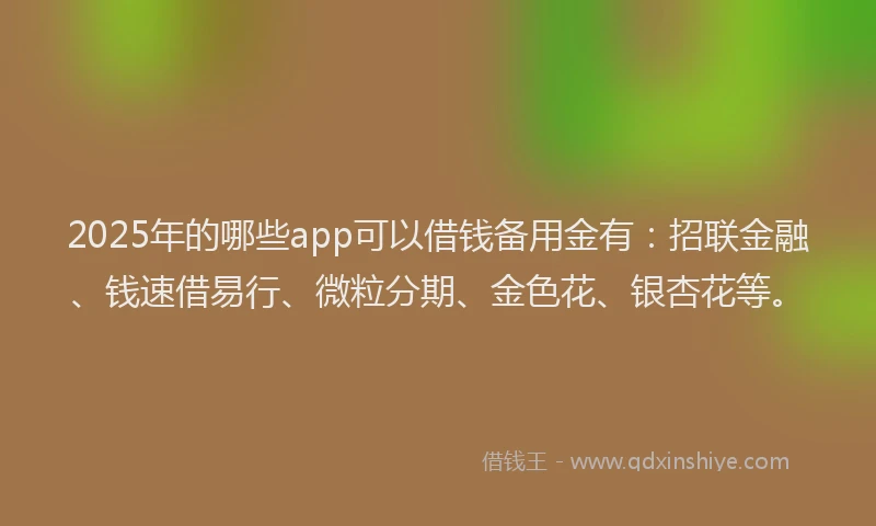 2025年的哪些app可以借钱备用金有：招联金融、钱速借易行、微粒分期、金色花、银杏花等。