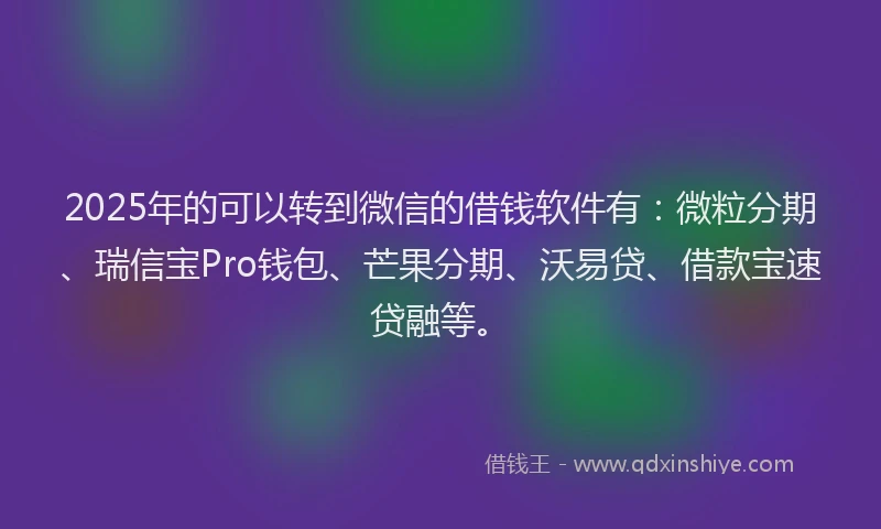 2025年的可以转到微信的借钱软件有：微粒分期、瑞信宝Pro钱包、芒果分期、沃易贷、借款宝速贷融等。
