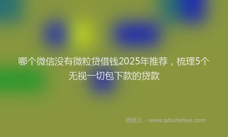 哪个微信没有微粒贷借钱2025年推荐，梳理5个无视一切包下款的贷款