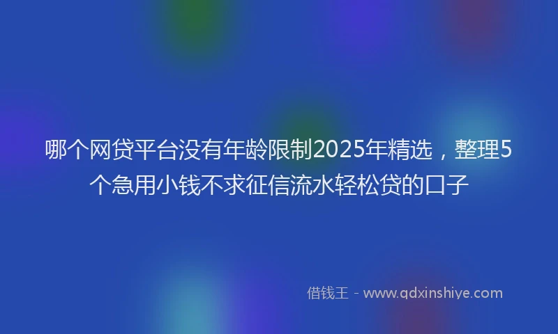 哪个网贷平台没有年龄限制2025年精选，整理5个急用小钱不求征信流水轻松贷的口子