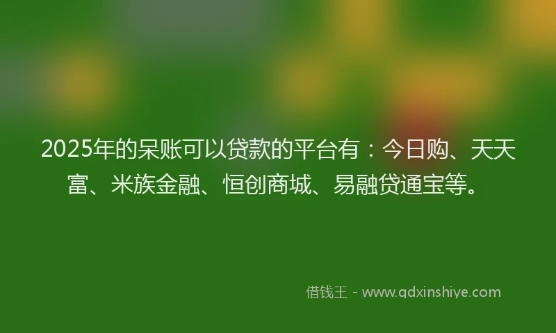 2025年的呆账可以贷款的平台有：今日购、天天富、米族金融、恒创商城、易融贷通宝等。
