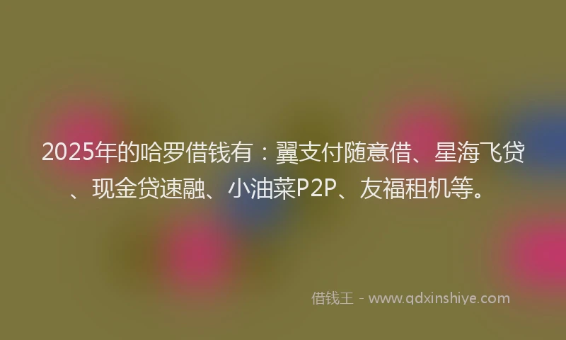 2025年的哈罗借钱有：翼支付随意借、星海飞贷、现金贷速融、小油菜P2P、友福租机等。