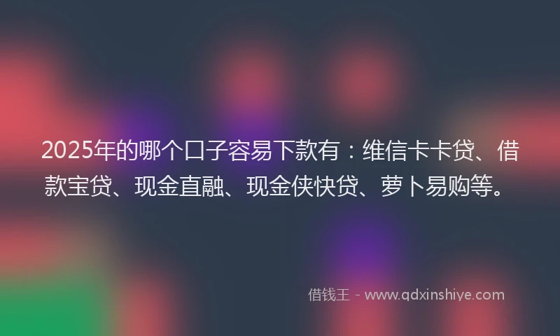 2025年的哪个口子容易下款有：维信卡卡贷、借款宝贷、现金直融、现金侠快贷、萝卜易购等。