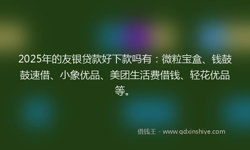 2025年的友银贷款好下款吗有：微粒宝盒、钱鼓鼓速借、小象优品、美团生活费借钱、轻花优品等。