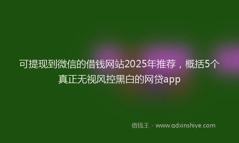 可提现到微信的借钱网站2025年推荐，概括5个真正无视风控黑白的网贷app