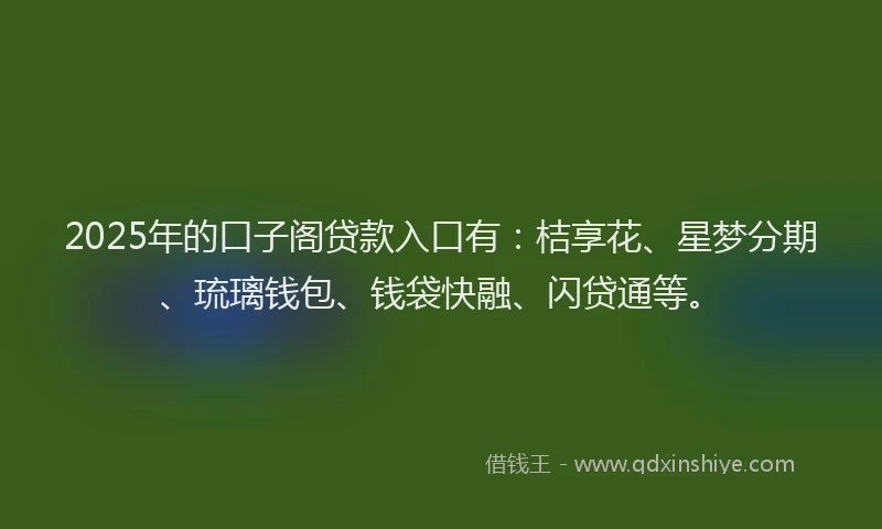 2025年的口子阁贷款入口有：桔享花、星梦分期、琉璃钱包、钱袋快融、闪贷通等。