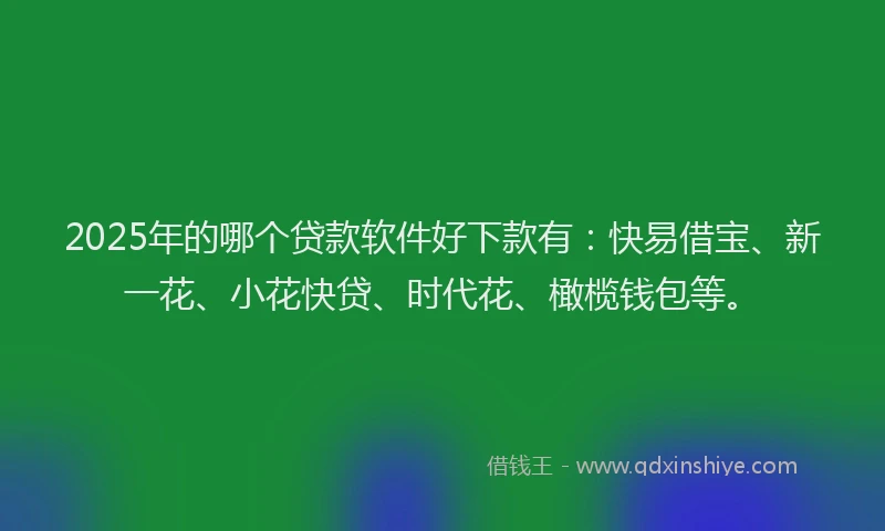 2025年的哪个贷款软件好下款有：快易借宝、新一花、小花快贷、时代花、橄榄钱包等。