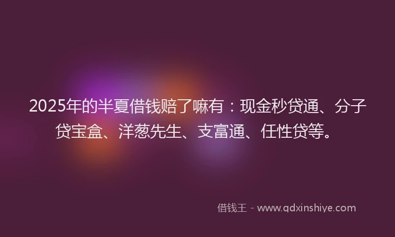 2025年的半夏借钱赔了嘛有：现金秒贷通、分子贷宝盒、洋葱先生、支富通、任性贷等。