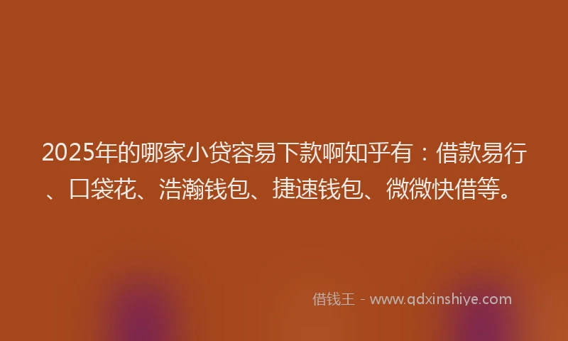 2025年的哪家小贷容易下款啊知乎有：借款易行、口袋花、浩瀚钱包、捷速钱包、微微快借等。