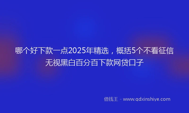 哪个好下款一点2025年精选，概括5个不看征信无视黑白百分百下款网贷口子