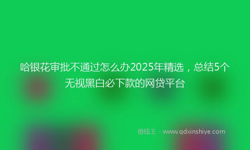 哈银花审批不通过怎么办2025年精选，总结5个无视黑白必下款的网贷平台
