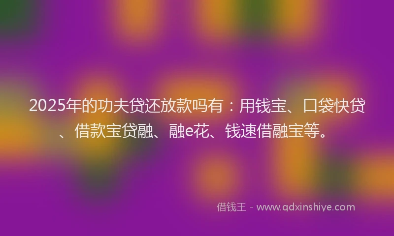 2025年的功夫贷还放款吗有：用钱宝、口袋快贷、借款宝贷融、融e花、钱速借融宝等。