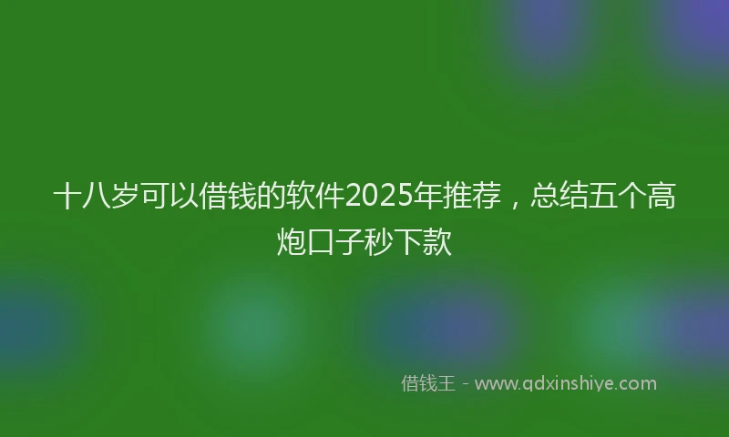 十八岁可以借钱的软件2025年推荐，总结五个高炮口子秒下款