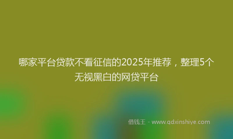 哪家平台贷款不看征信的2025年推荐，整理5个无视黑白的网贷平台