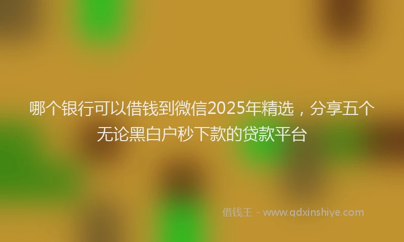 哪个银行可以借钱到微信2025年精选，分享五个无论黑白户秒下款的贷款平台