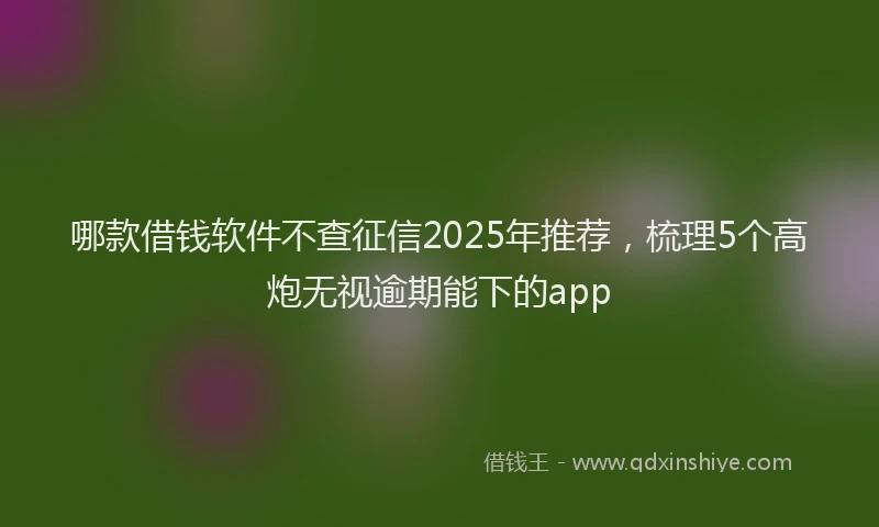 哪款借钱软件不查征信2025年推荐，梳理5个高炮无视逾期能下的app