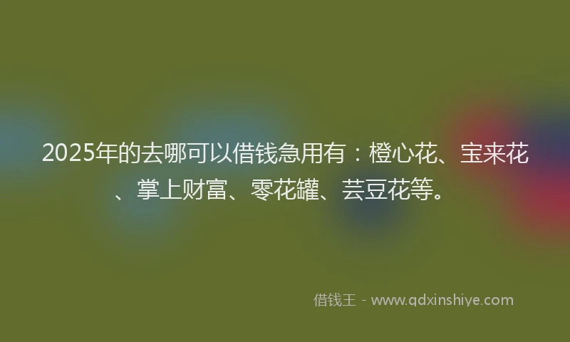 2025年的去哪可以借钱急用有：橙心花、宝来花、掌上财富、零花罐、芸豆花等。
