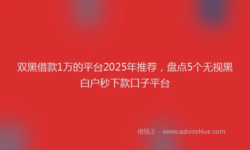 双黑借款1万的平台2025年推荐，盘点5个无视黑白户秒下款口子平台