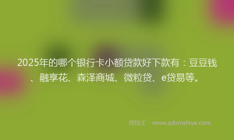 2025年的哪个银行卡小额贷款好下款有：豆豆钱、融享花、森泽商城、微粒贷、e贷易等。