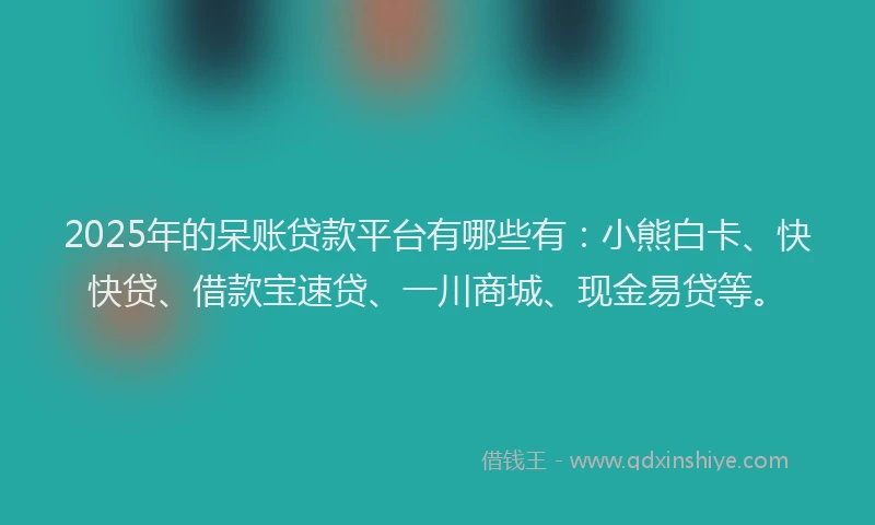 2025年的呆账贷款平台有哪些有：小熊白卡、快快贷、借款宝速贷、一川商城、现金易贷等。