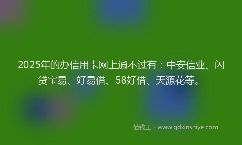 2025年的办信用卡网上通不过有：中安信业、闪贷宝易、好易借、58好借、天源花等。