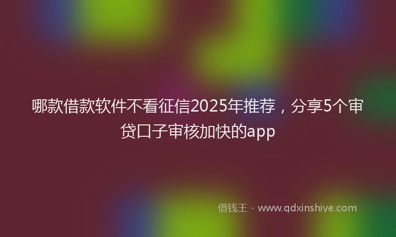 哪款借款软件不看征信2025年推荐，分享5个审贷口子审核加快的app
