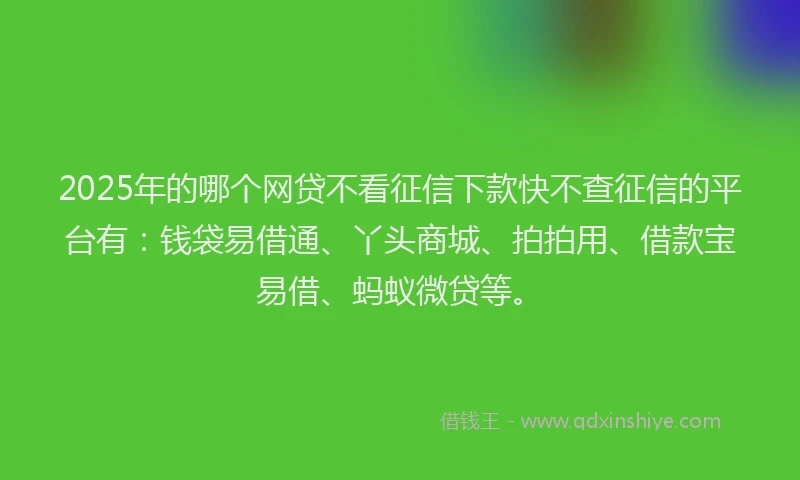 2025年的哪个网贷不看征信下款快不查征信的平台有：钱袋易借通、丫头商城、拍拍用、借款宝易借、蚂蚁微贷等。