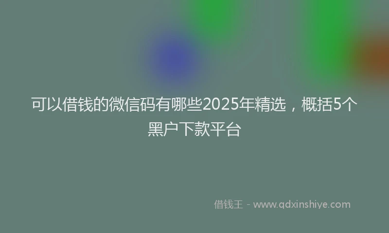 可以借钱的微信码有哪些2025年精选，概括5个黑户下款平台