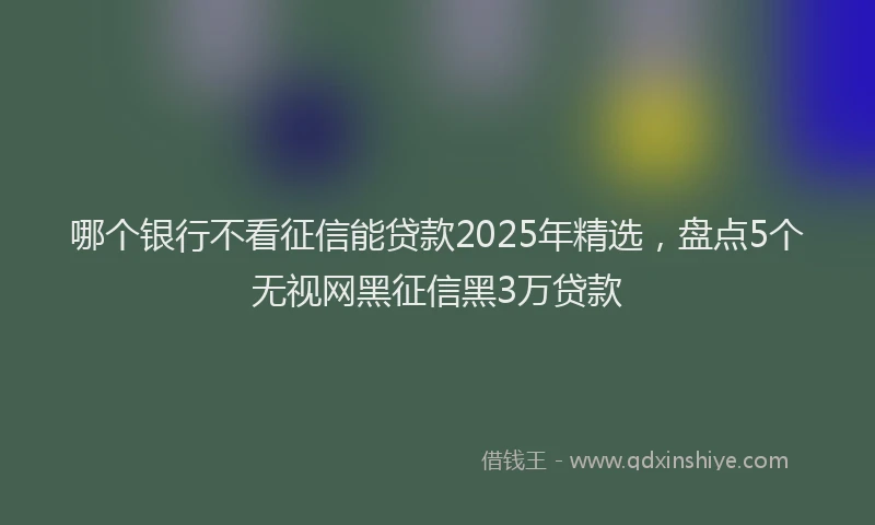 哪个银行不看征信能贷款2025年精选，盘点5个无视网黑征信黑3万贷款
