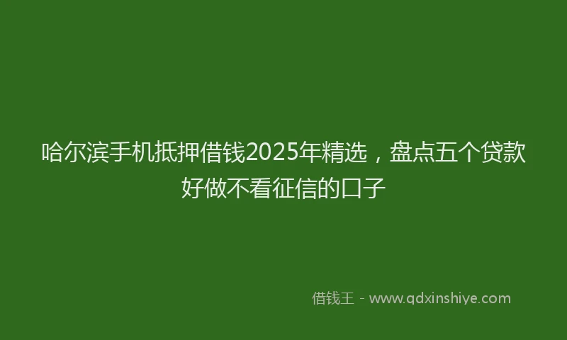 哈尔滨手机抵押借钱2025年精选，盘点五个贷款好做不看征信的口子