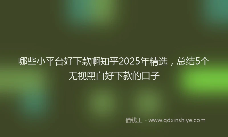 哪些小平台好下款啊知乎2025年精选，总结5个无视黑白好下款的口子