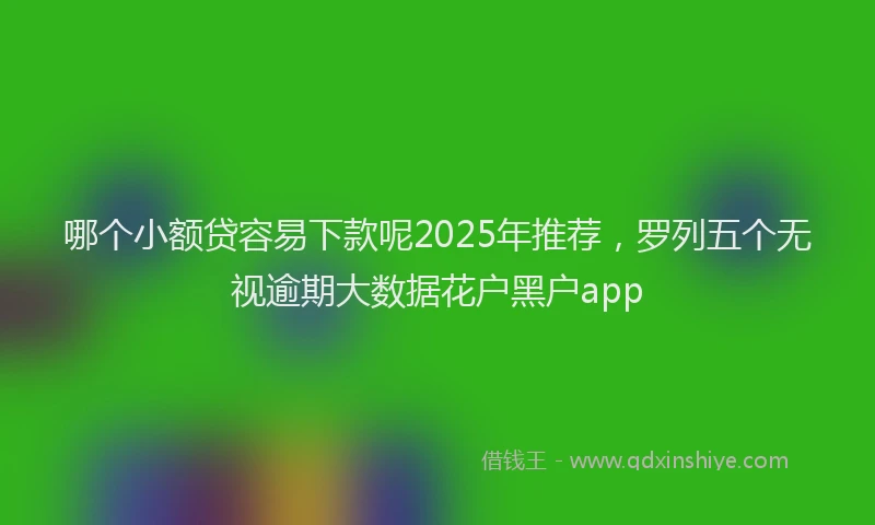 哪个小额贷容易下款呢2025年推荐，罗列五个无视逾期大数据花户黑户app