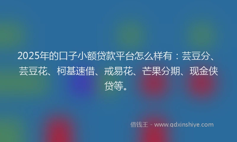 2025年的口子小额贷款平台怎么样有：芸豆分、芸豆花、柯基速借、戒易花、芒果分期、现金侠贷等。