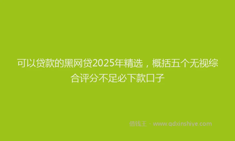 可以贷款的黑网贷2025年精选，概括五个无视综合评分不足必下款口子