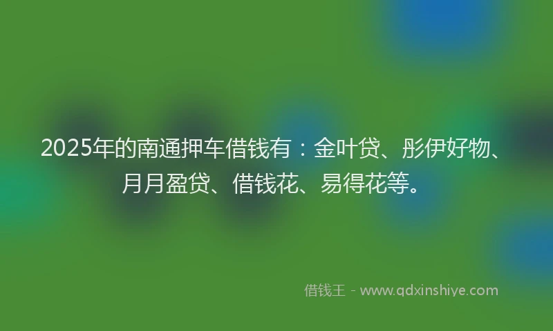 2025年的南通押车借钱有：金叶贷、彤伊好物、月月盈贷、借钱花、易得花等。