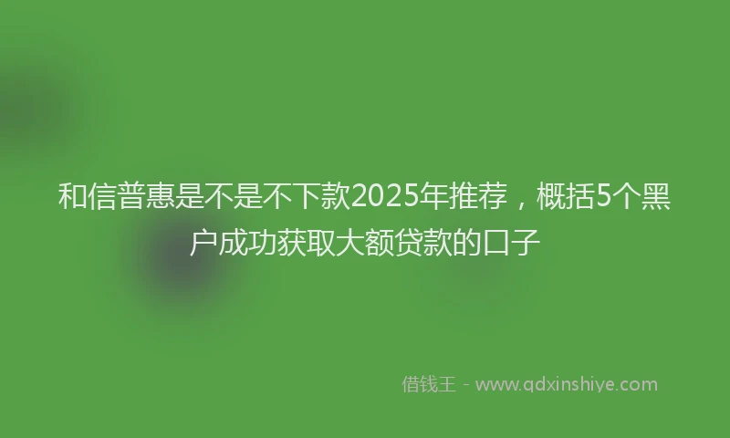 和信普惠是不是不下款2025年推荐，概括5个黑户成功获取大额贷款的口子