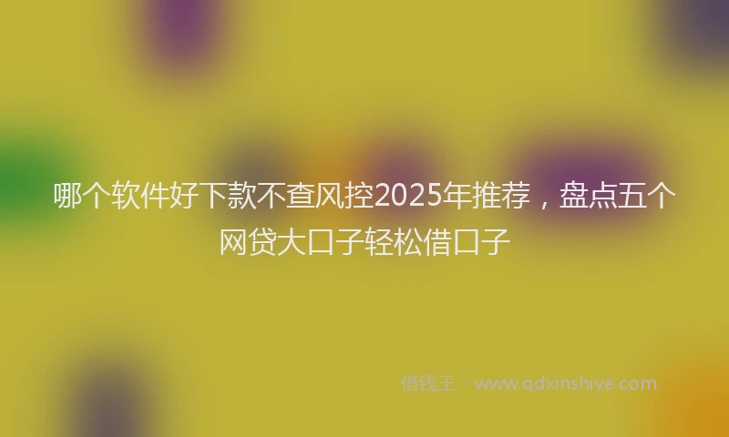 哪个软件好下款不查风控2025年推荐，盘点五个网贷大口子轻松借口子