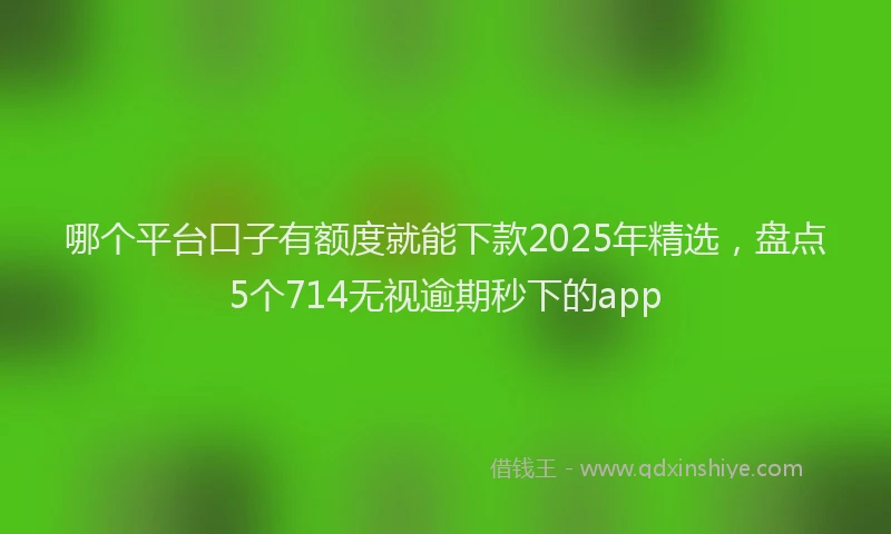 哪个平台口子有额度就能下款2025年精选，盘点5个714无视逾期秒下的app