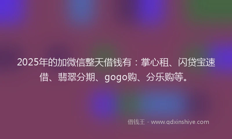 2025年的加微信整天借钱有：掌心租、闪贷宝速借、翡翠分期、gogo购、分乐购等。