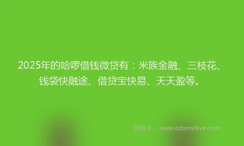 2025年的哈啰借钱微贷有：米族金融、三枝花、钱袋快融途、借贷宝快易、天天盈等。