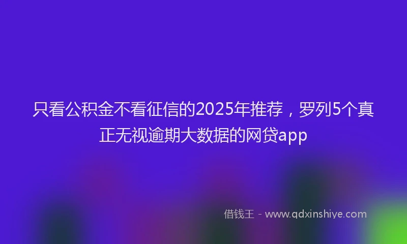 只看公积金不看征信的2025年推荐，罗列5个真正无视逾期大数据的网贷app